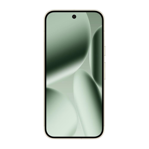 Google Pixel 10 Pro 16Гб/256Гб Нефрит