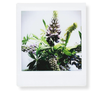 Картриджи instax square 20 кадров фотопленка