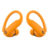 Наушники Powerbeats Pro 2 Оранжевый