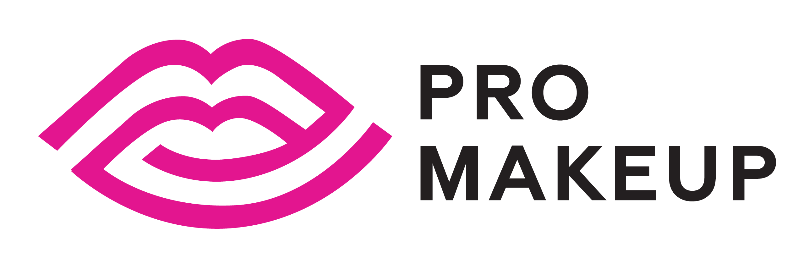 Pro makeup